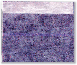 Communisis Pegasus Compatible Wage Envelopes W127xH110mm Ref DUKPE026 [Box 1000]
