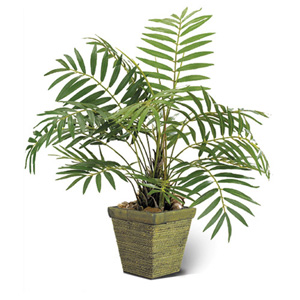 Stewart Superior Artificial Plant in Ceramic Pot H500mm Mountain Palm Ref 9900204
