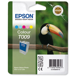 Epson Intellidge Inkjet Cartridge Colour Ref TO09401