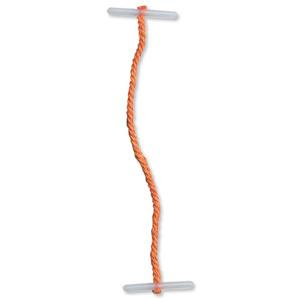5 Star Treasury Tags Plastic-ended 101mm Orange [Pack 100]